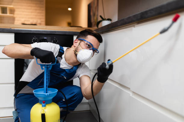 Best Mosquito Control Services  in Redwood City, CA