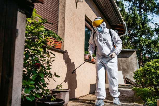 Best Flea Control Services  in Redwood City, CA