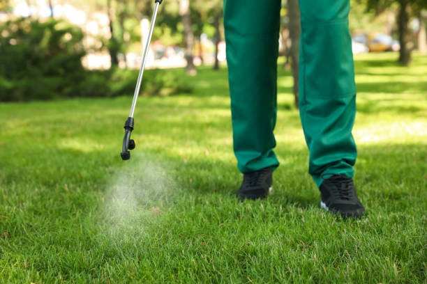 Best Best Pest Control Companies  in Redwood City, CA