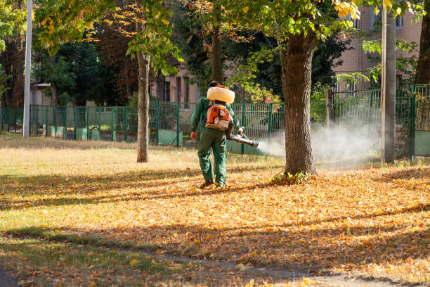 Best Exterminator Services  in Redwood City, CA