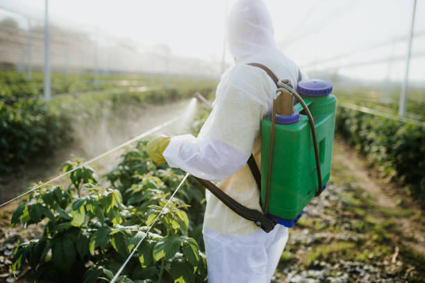 Pest Prevention Services in Redwood City, CA